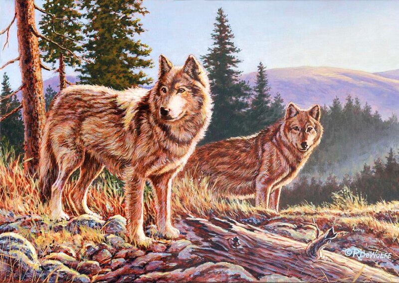 Two Wolves in Forest — Brown, Serene