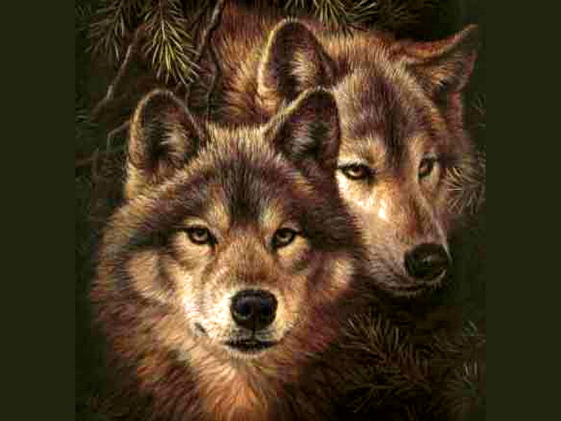 Two Wolves in Forest — Brown, Serious, Digital Art