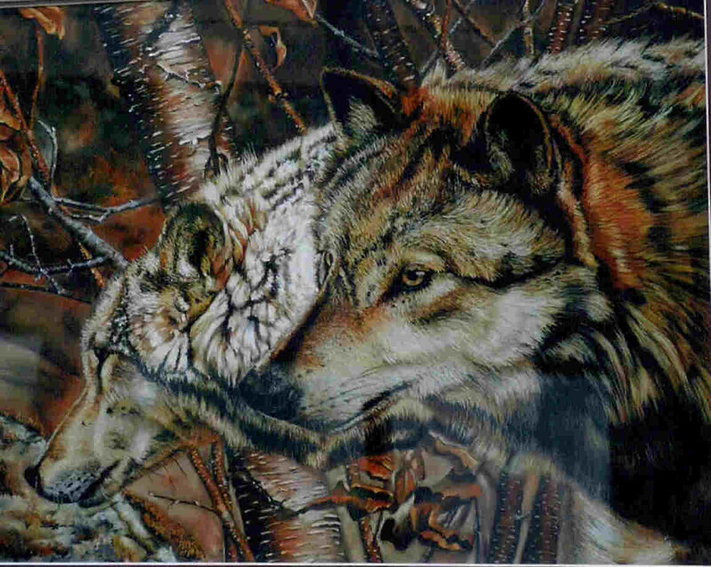 Two Wolves in Forest — Brown