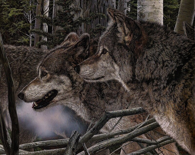 Two Wolves in Forest — Gray, Alert, Illustration