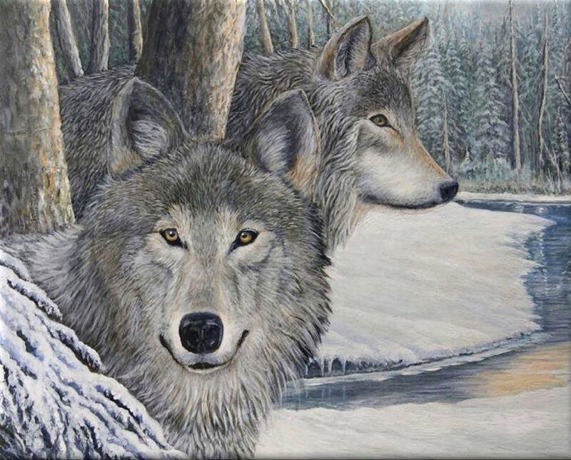 Two Wolves in Forest — Gray, Calm, Winter