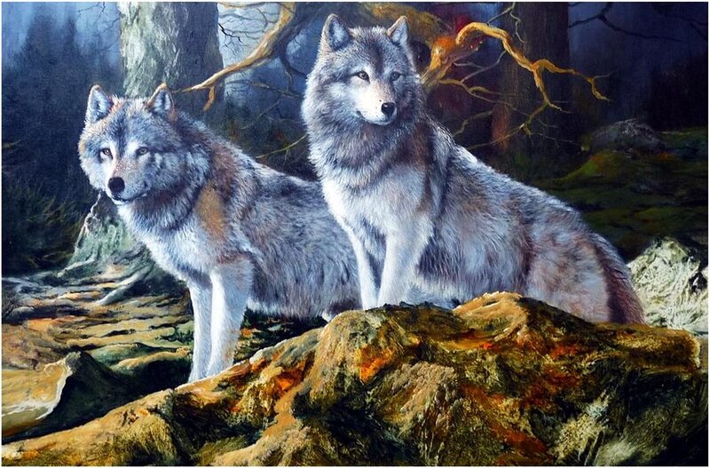 Two Wolves in Forest — Gray, Dramatic, Night