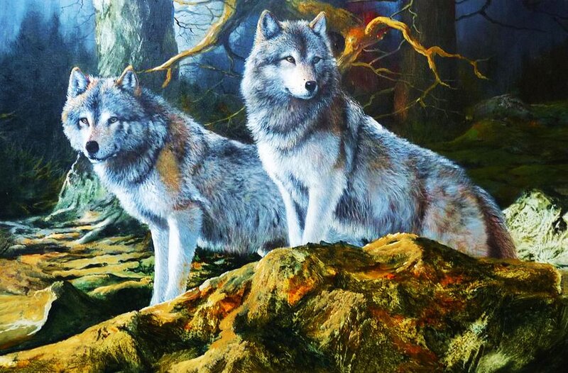 Two Wolves in Forest — Gray, Dramatic