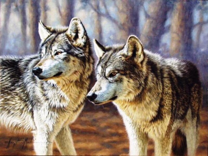 Two Wolves in Forest — Gray, Natural, Painting