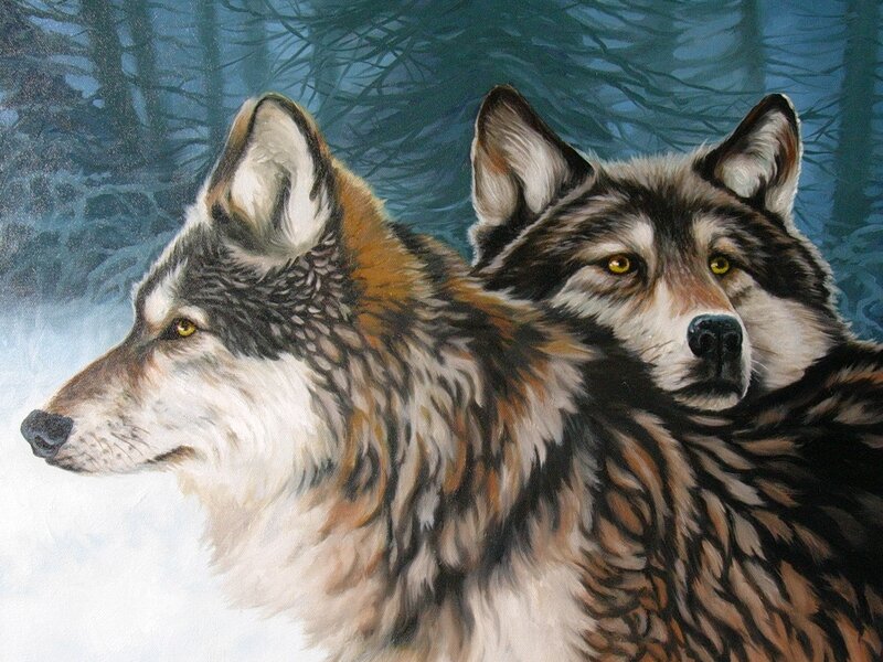 Two Wolves in Forest — Gray, Serious