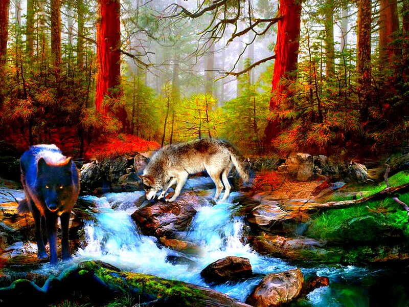 Two Wolves in Forest — Green, Dramatic, Autumn