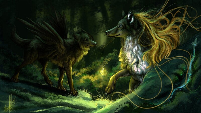 Two Wolves in Forest — Green, Mysterious, Night