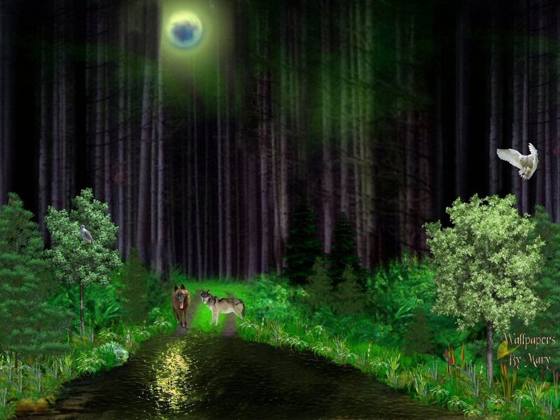 Two Wolves in Forest — Green, Mysterious