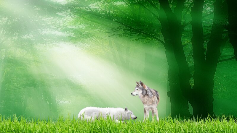 Two Wolves in Forest — Green, Serene, Morning, Digital Art, Trees