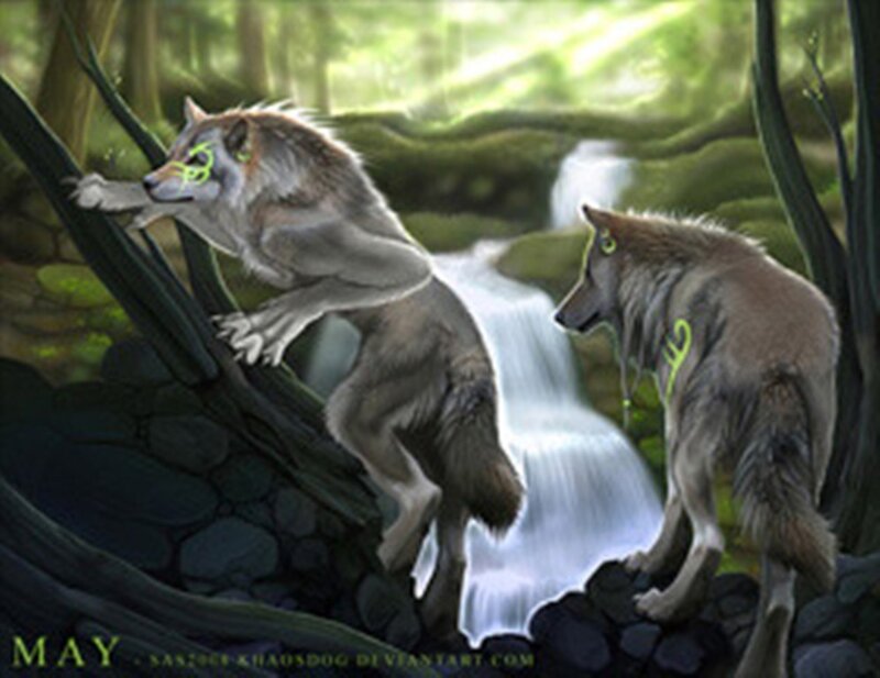 Two Wolves in Forest — Green, Serene, Morning