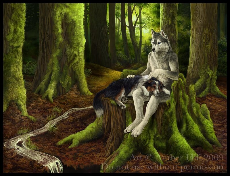 Two Wolves in Forest — Green, Serene