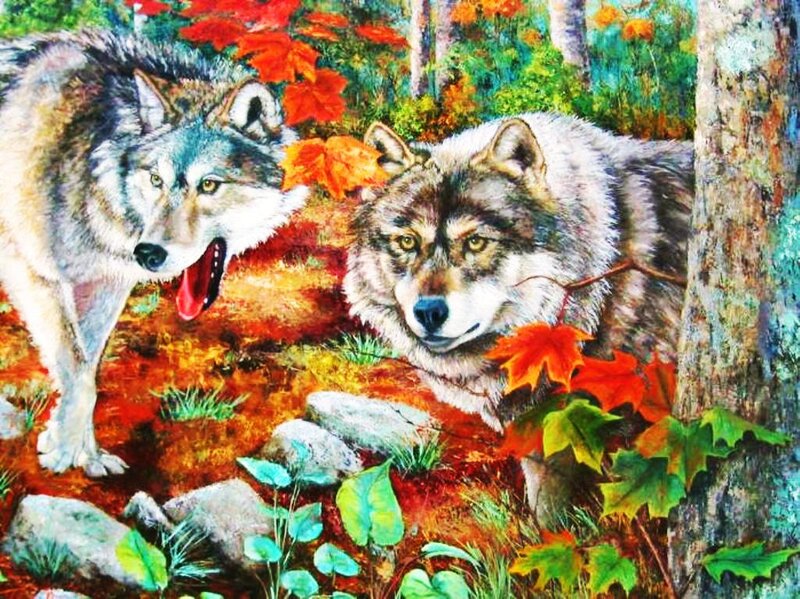 Two Wolves in Forest — Red, Natural