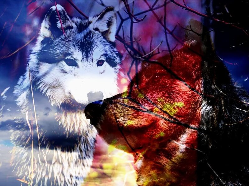 Two Wolves in Forest — Red
