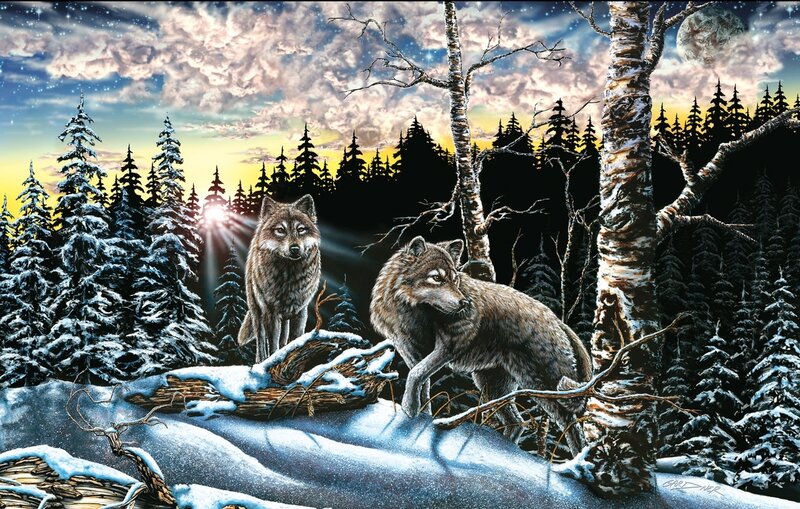 Two Wolves in Forest — White, Dramatic, Night
