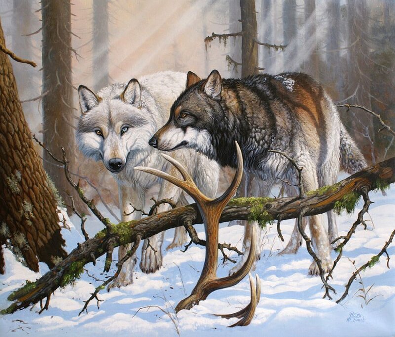 Two Wolves in Forest — White, Dramatic, Winter