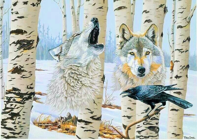 Two Wolves in Forest — White, Serene
