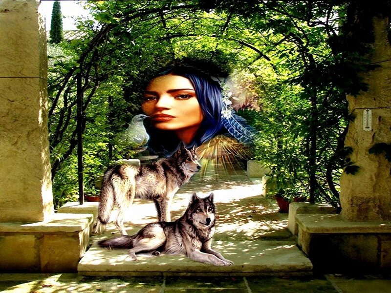 Two Wolves in Garden