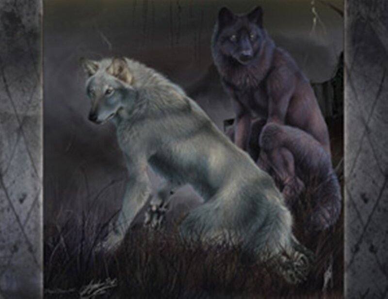 Two Wolves in Grass — Gray, Dramatic