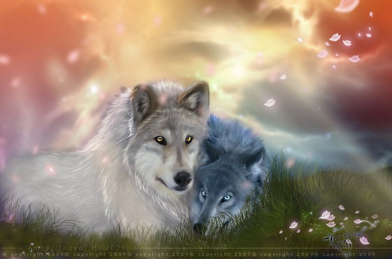 Two Wolves in Grass — White