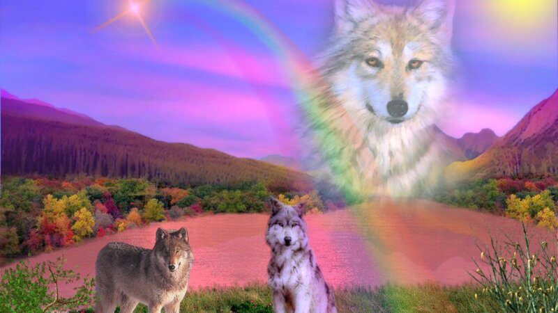 Two Wolves in Landscape — Purple
