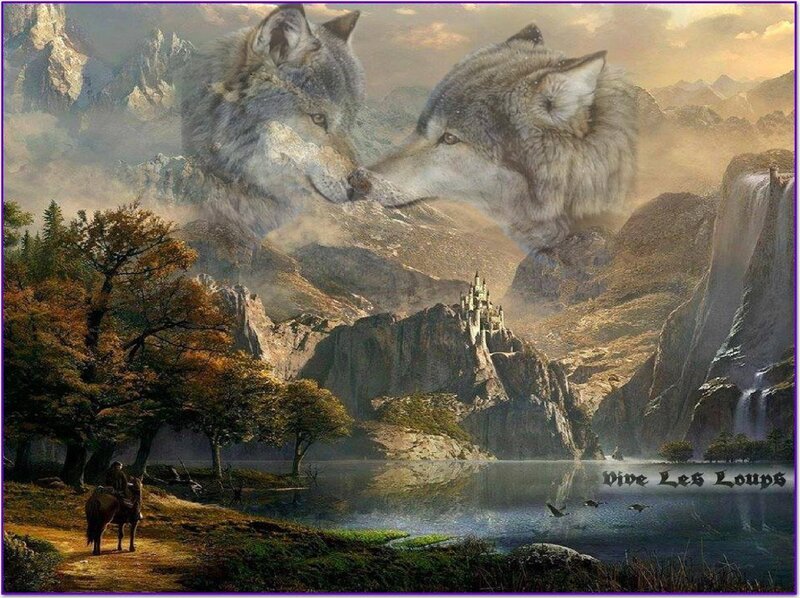 Two Wolves in Mountains — Gray