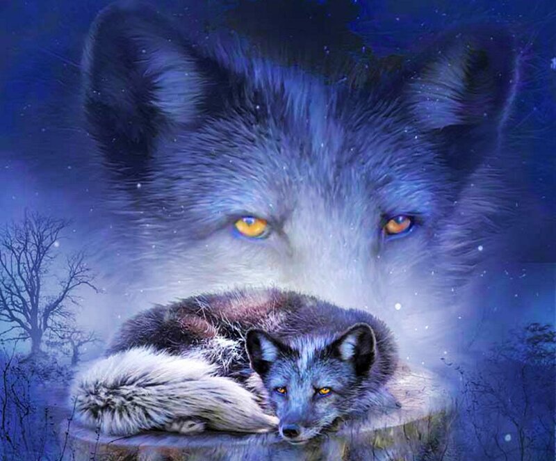 Two Wolves in Night — Blue
