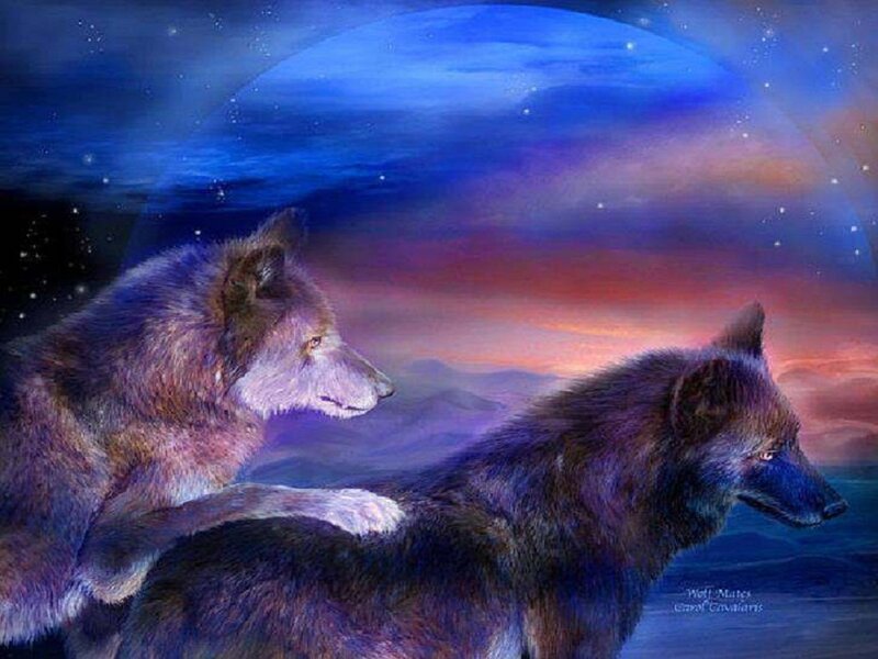 Two Wolves in Night Sky