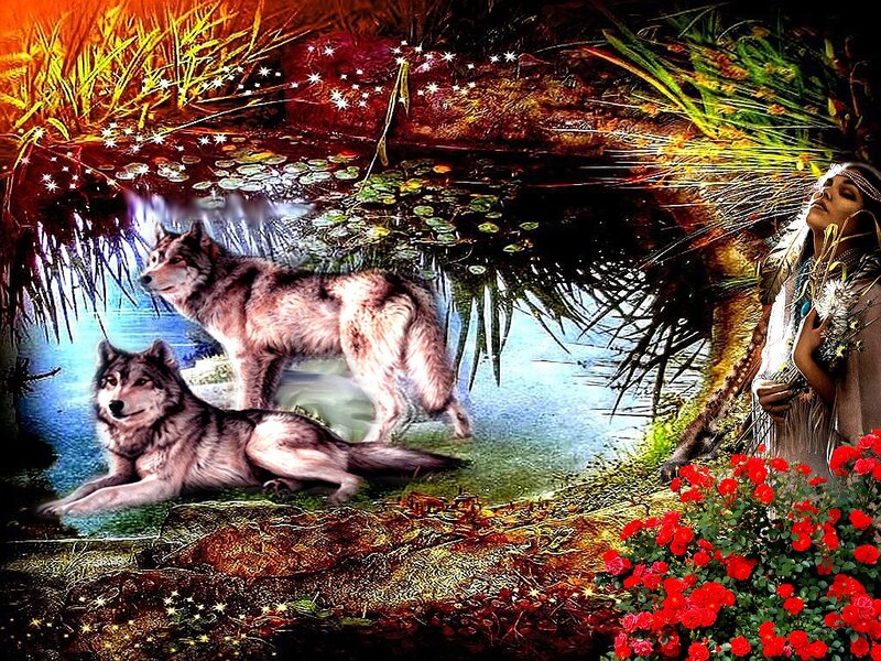 Two Wolves in Pond