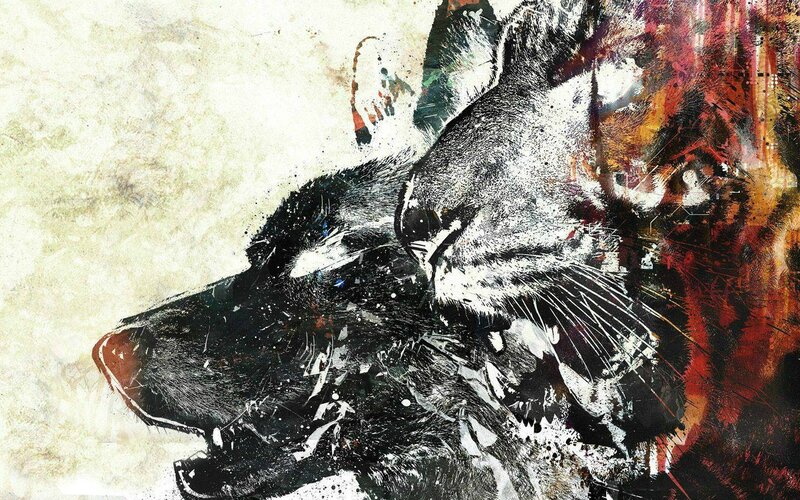 Two Wolves in Profile — Black, Dramatic, Digital Art, Splatter, Grunge Texture