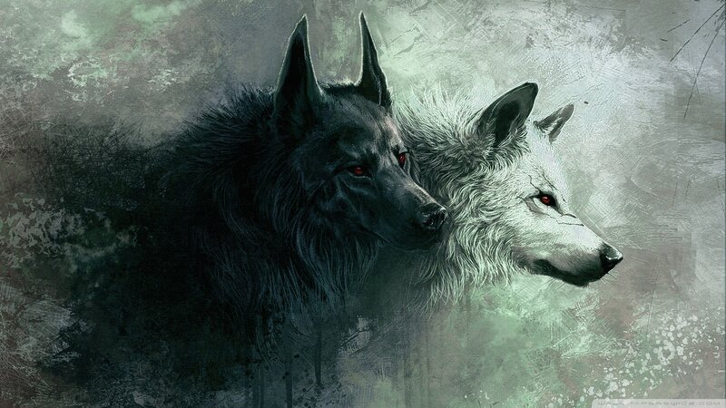 Two Wolves in Profile — Black, Dramatic