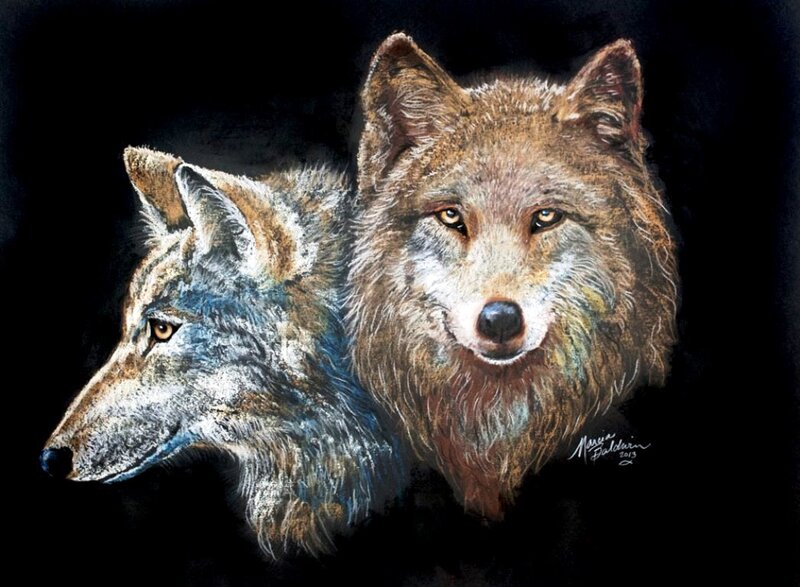 Two Wolves in Profile — Brown, Dramatic