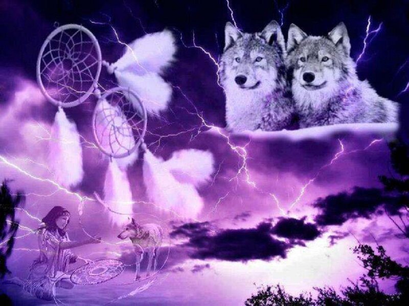 Two Wolves in Purple Sky