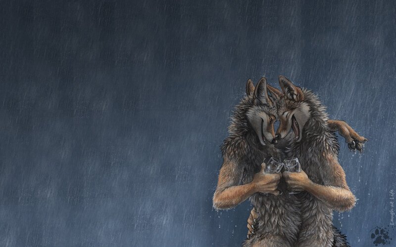 Two Wolves in Rain