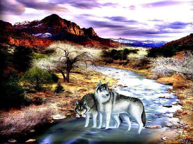 Two Wolves in River — Purple