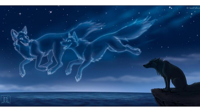 Two Wolves in Sky — Blue, Serene, Night