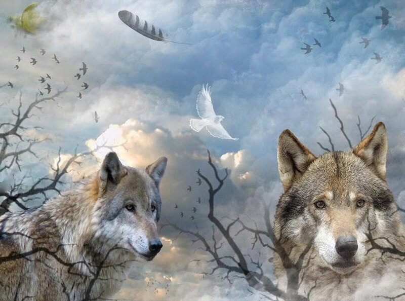 Two Wolves in Sky — Blue