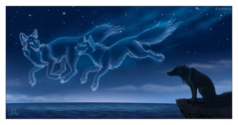Two Wolves in Sky