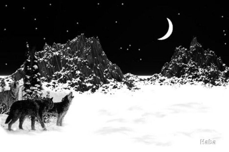 Two Wolves in Snow — Black