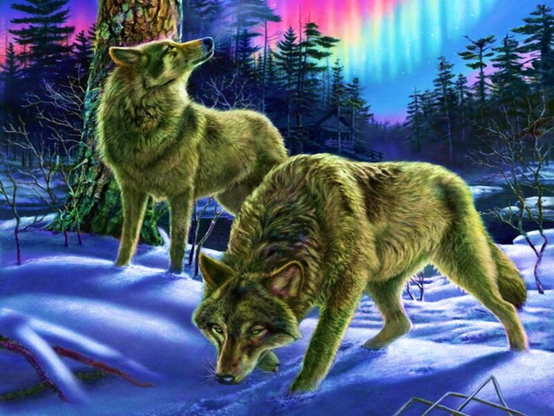 Two Wolves in Snow — Blue, Dramatic, Night