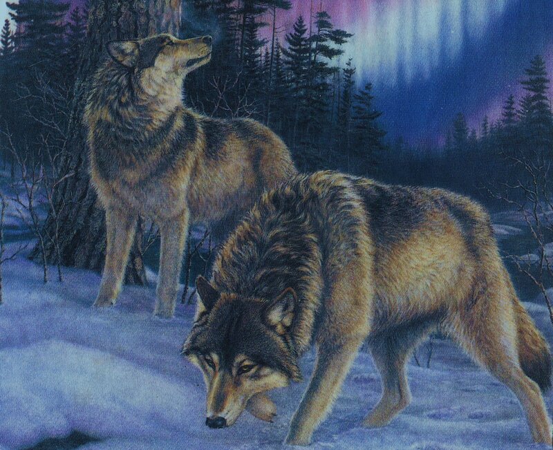 Two Wolves in Snow — Blue, Dramatic