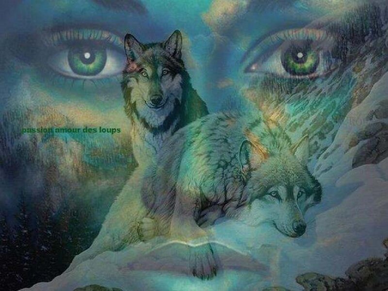 Two Wolves in Snow — Blue, Mystical