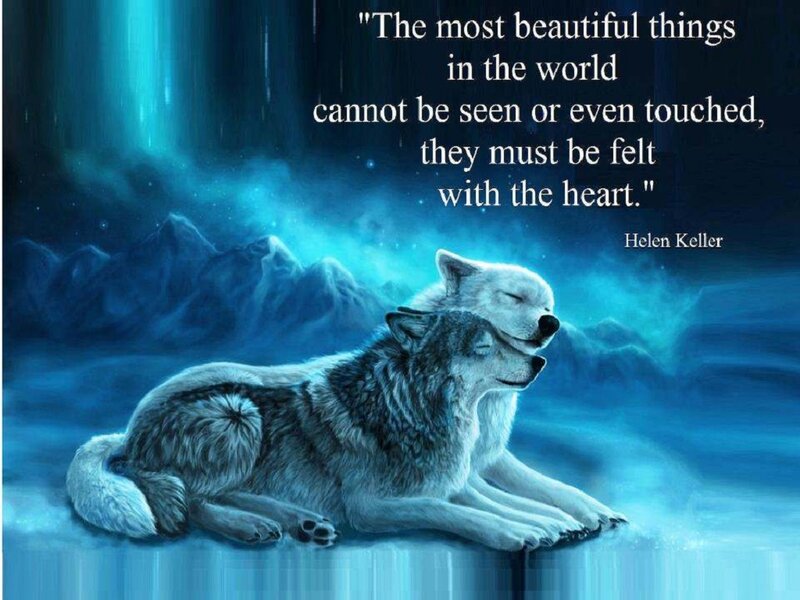 Two Wolves in Snow — Blue, Serene, Night