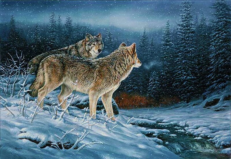 Two Wolves in Snow — Blue, Serene, Winter, Painting, Forest
