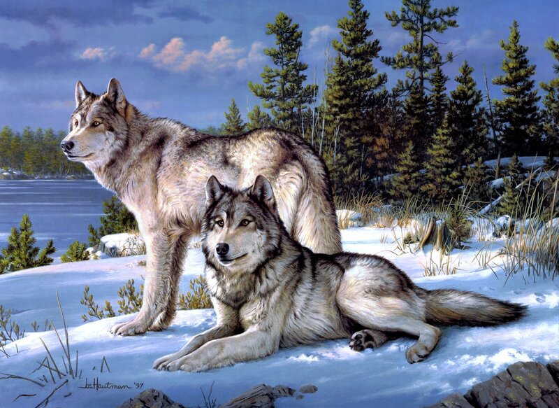 Two Wolves in Snow — Blue, Serene, Winter, Painting