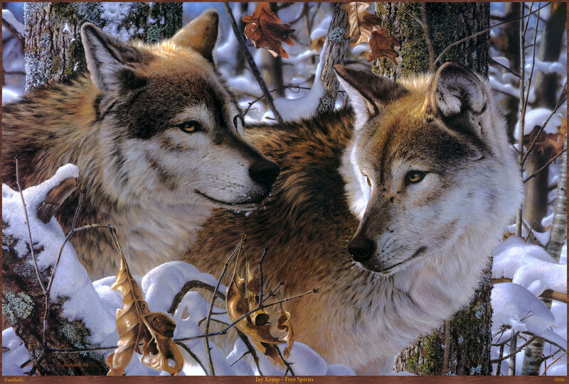 Two Wolves in Snow — Brown, Calm, Winter, Illustration