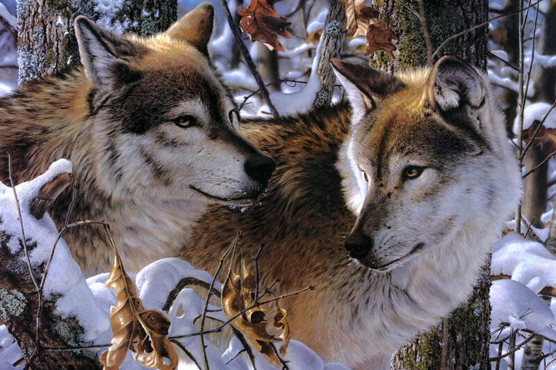 Two Wolves in Snow — Brown, Calm, Winter, Illustration, Trees