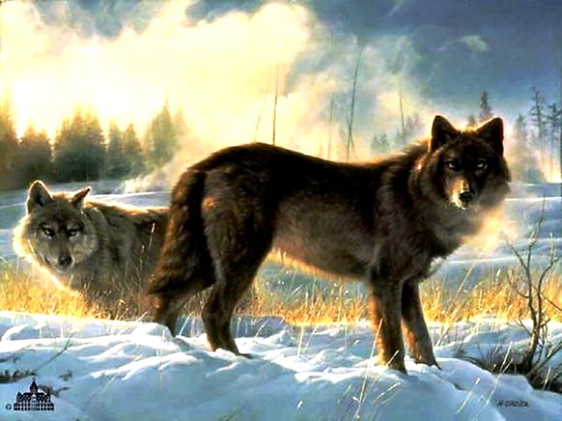 Two Wolves in Snow — Brown, Dramatic, Winter, Digital Art