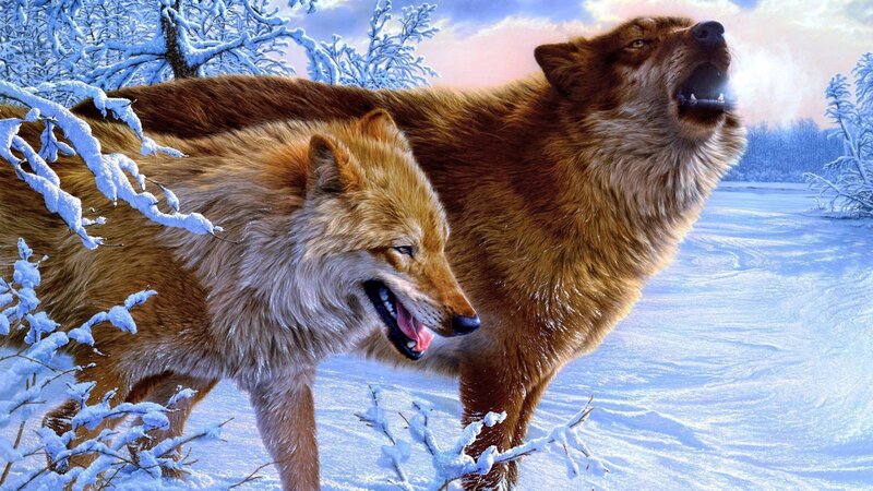Two Wolves in Snow — Brown, Dramatic, Winter, Digital Art, Trees, Sky