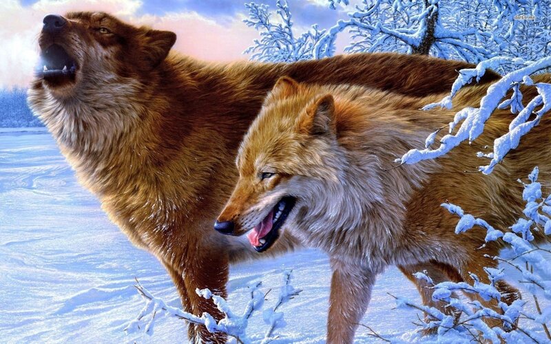 Two Wolves in Snow — Brown, Dramatic, Winter, Digital Art, Trees