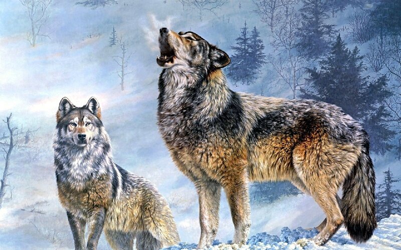 Two Wolves in Snow — Gray, Dramatic, Winter, Painting